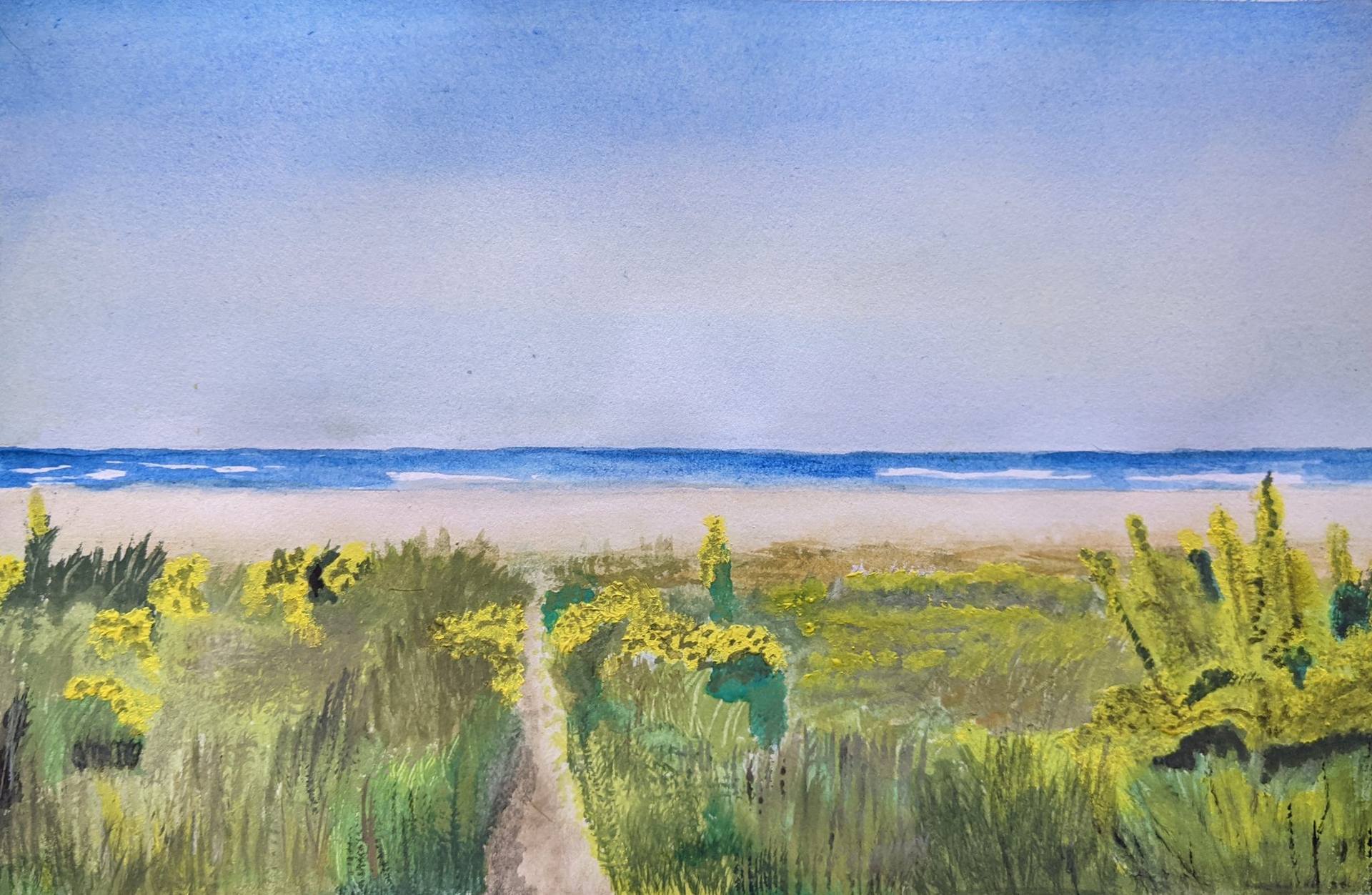 Pacific Northwest Beach in Summer