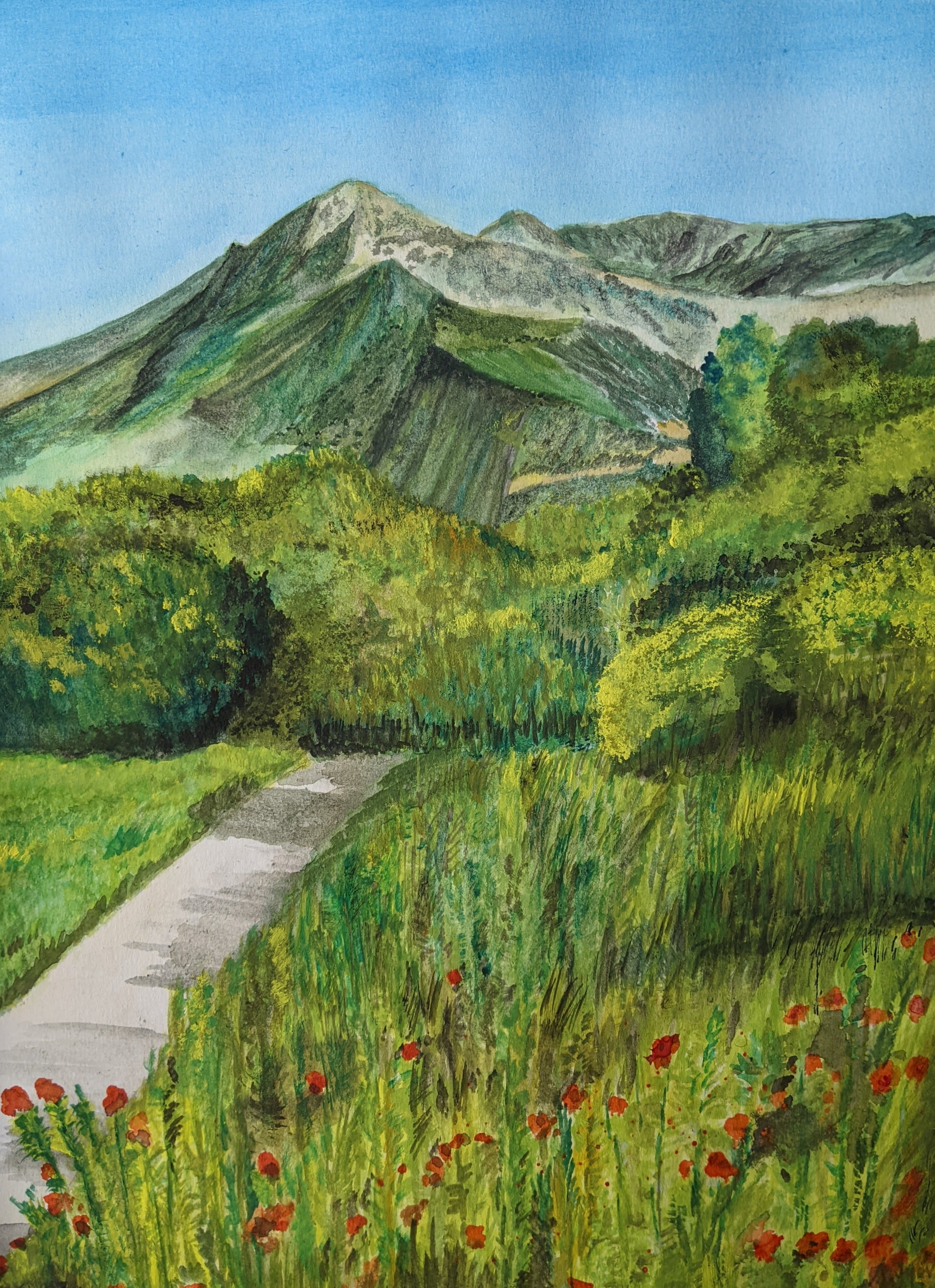 Trail in Southern California