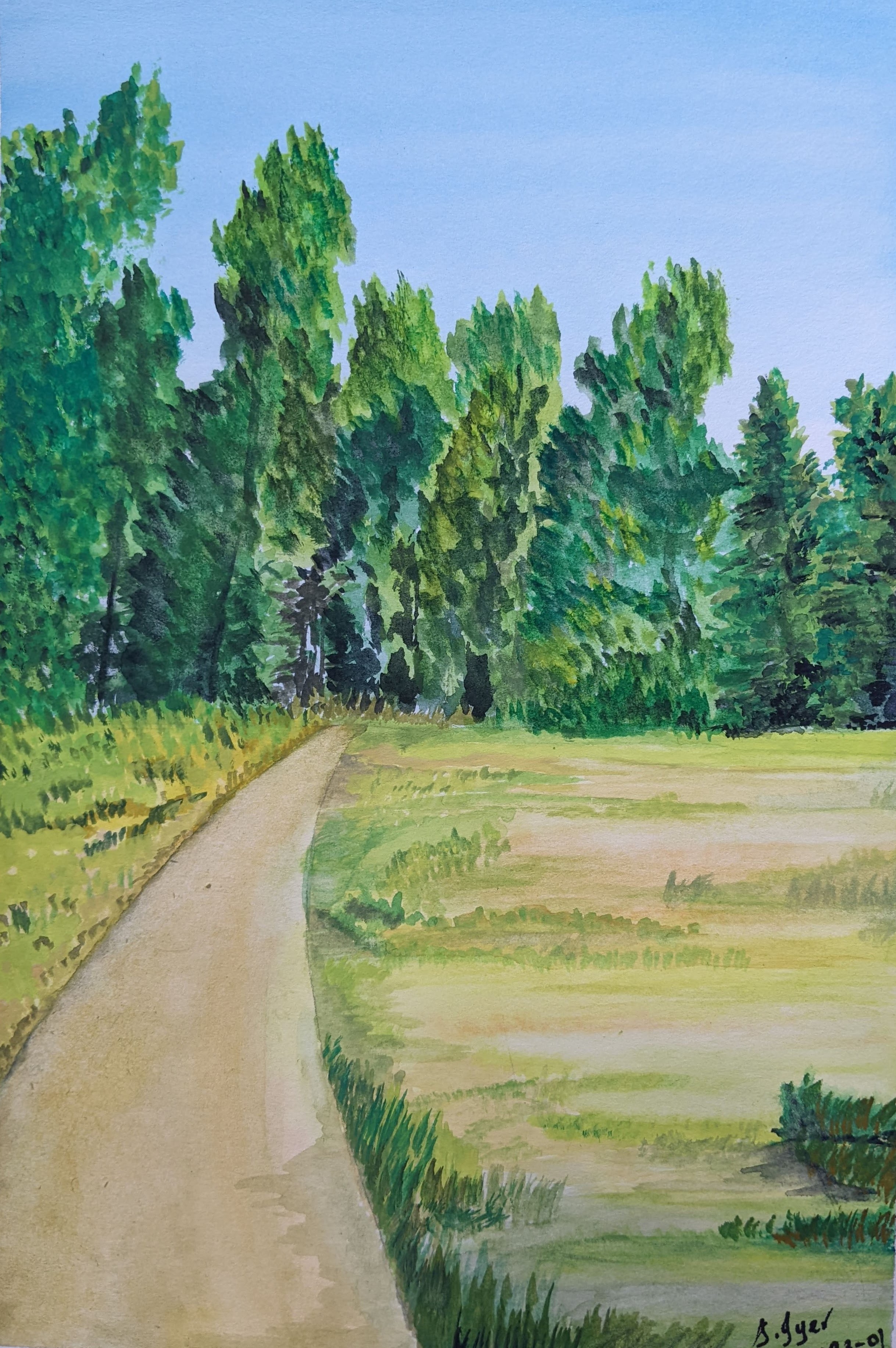 Summer Walk