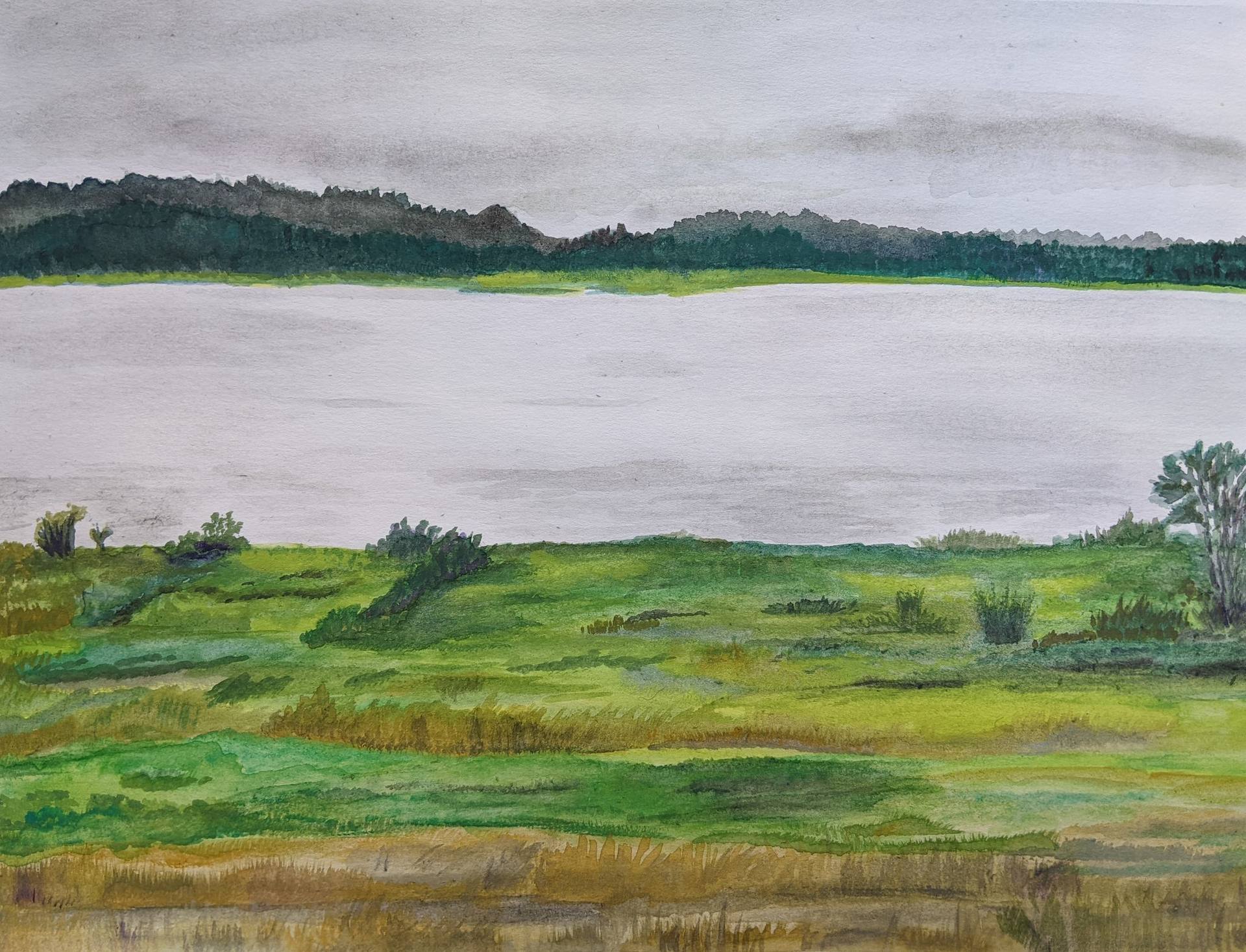Another Cloudy Day in the Pacific Northwest