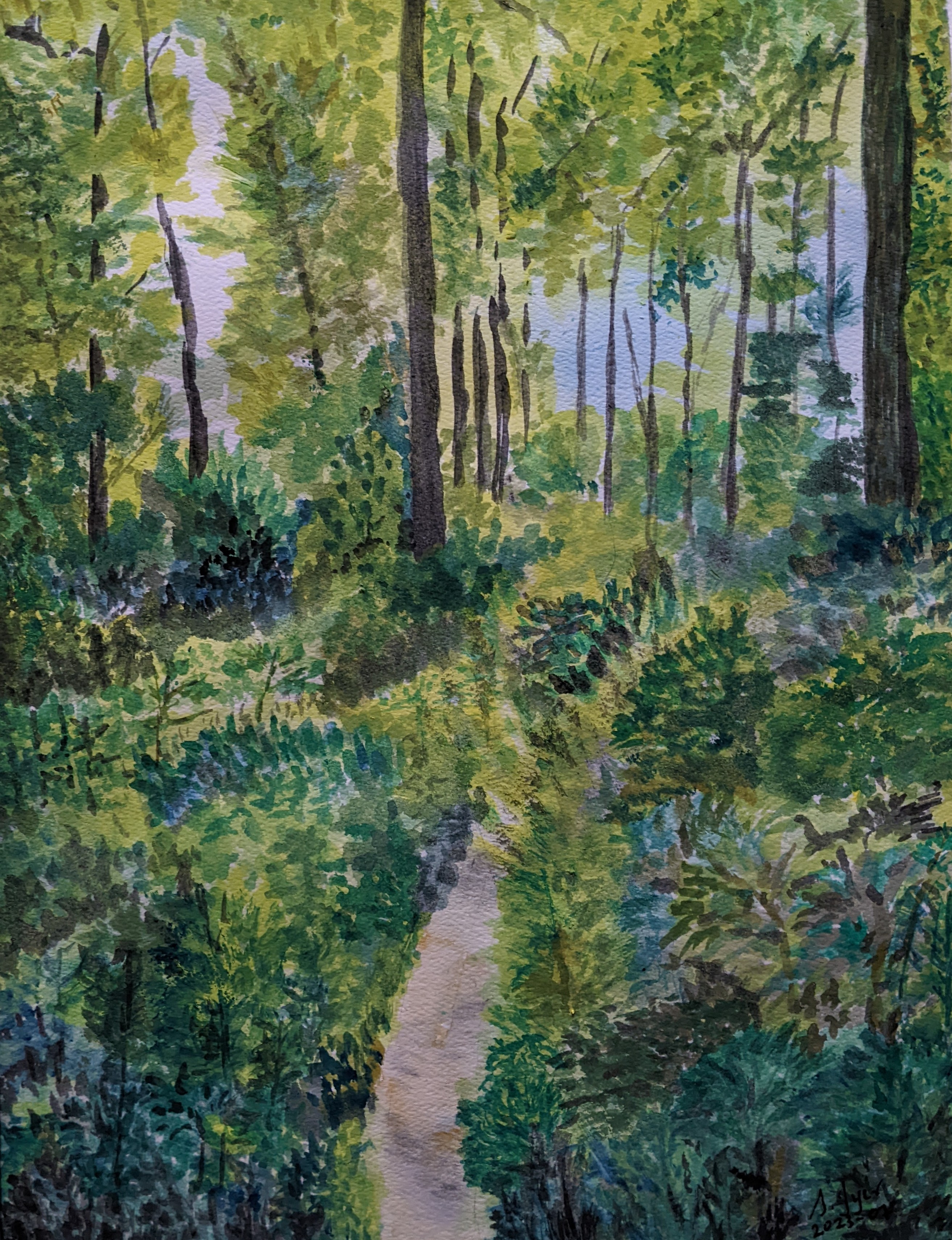 Walk in the Woods