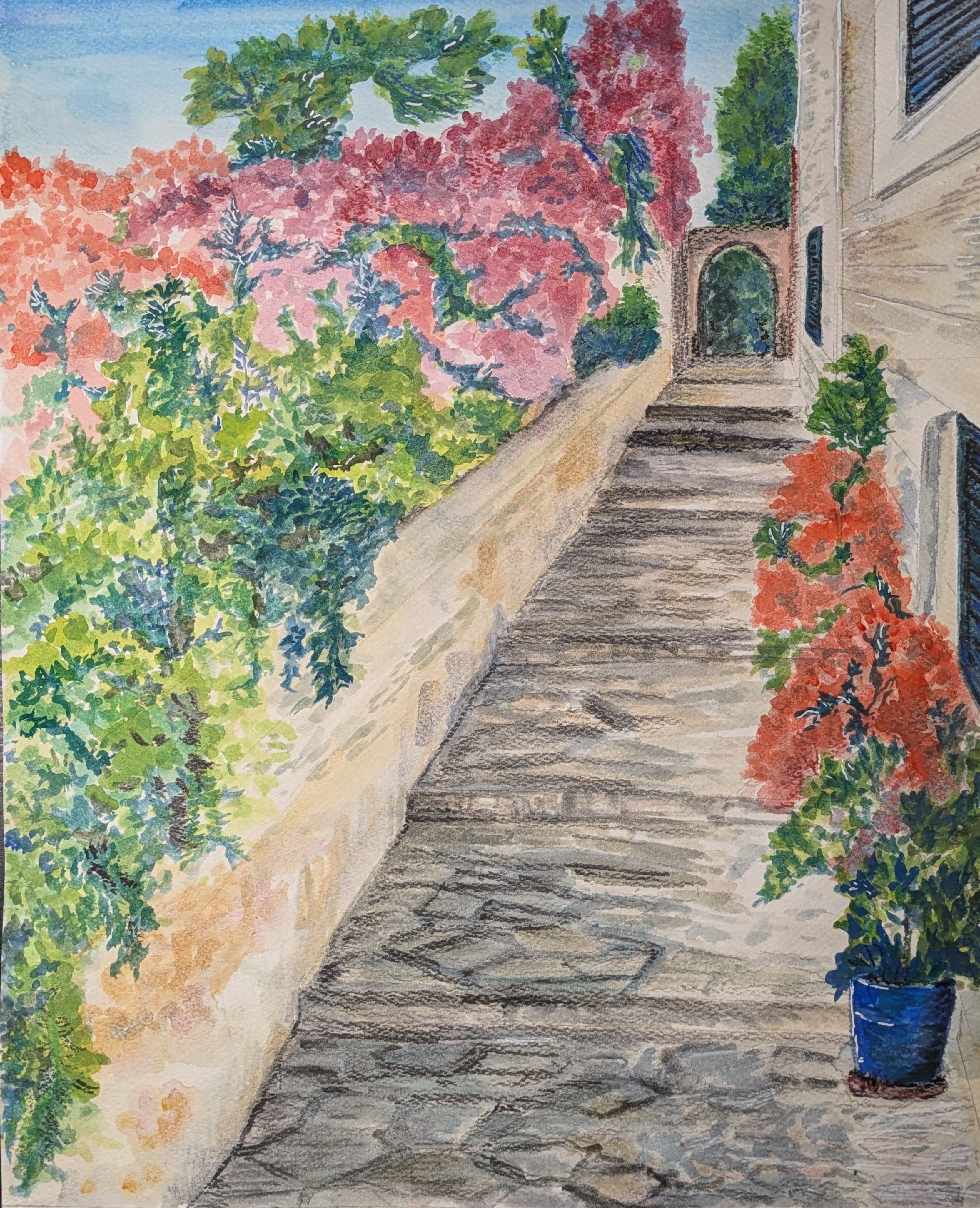 Bougainvillea Alley