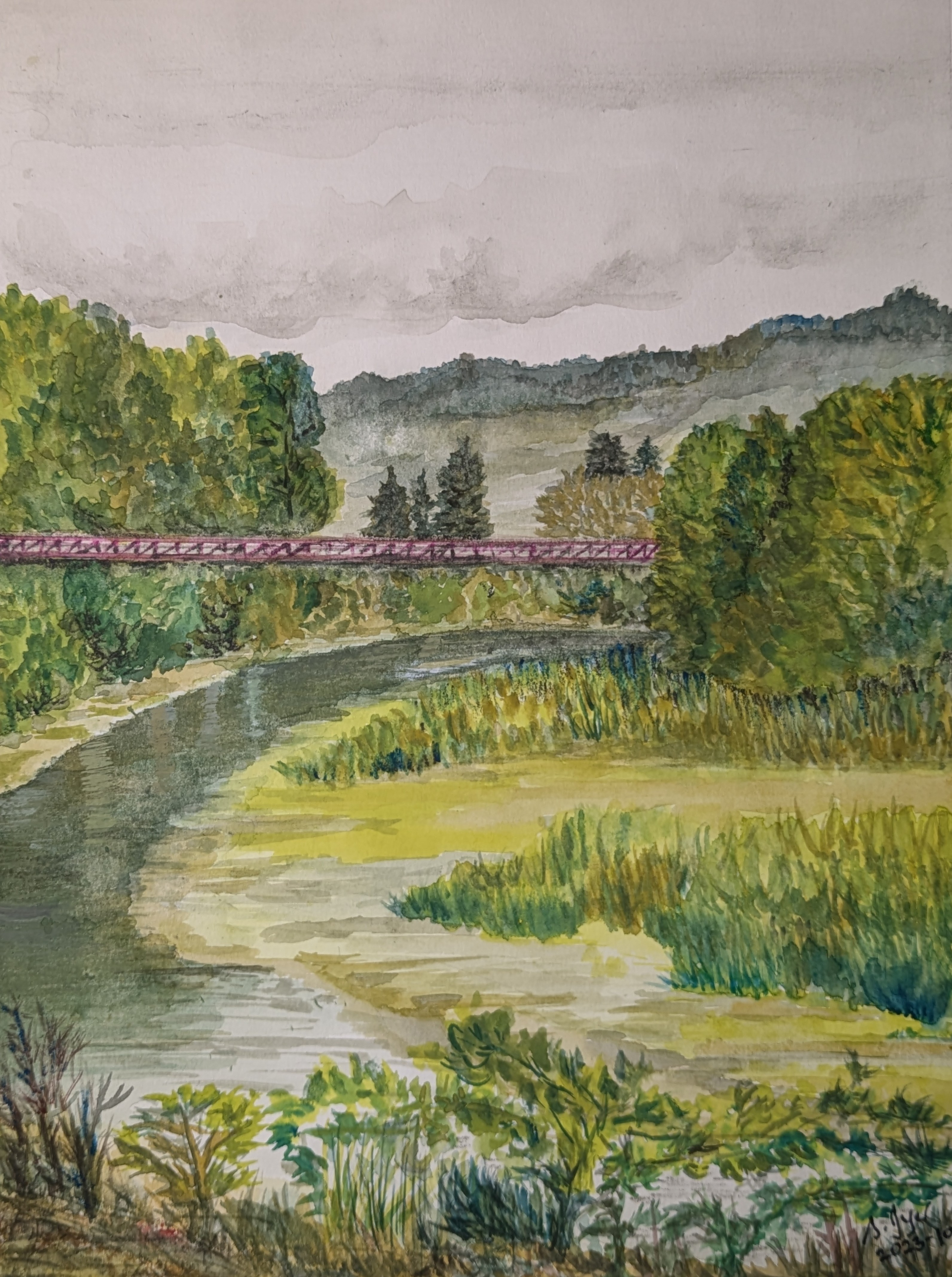 River trail in the Pacific Northwest 