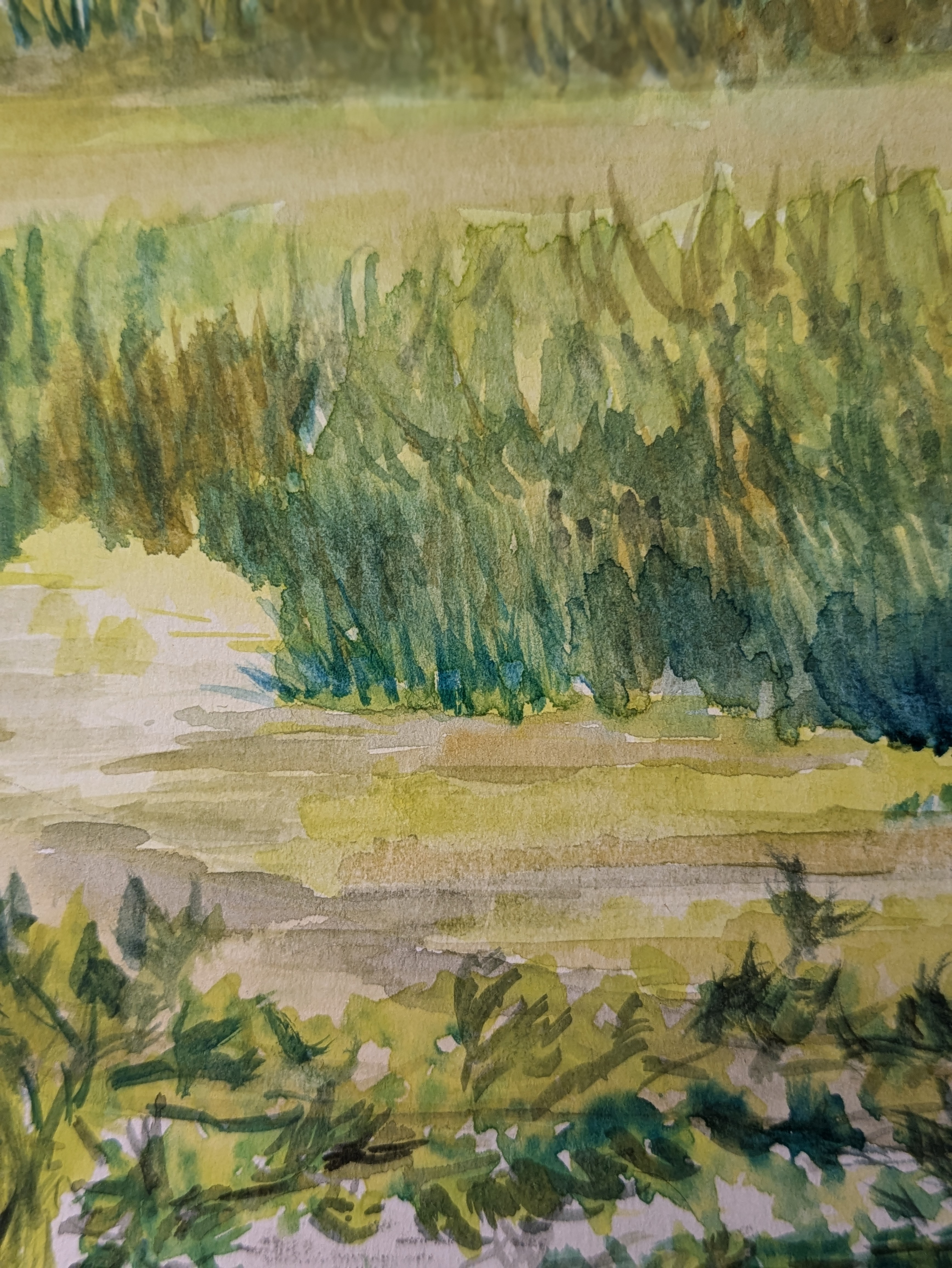 River Trail In The Pacific Northwest 