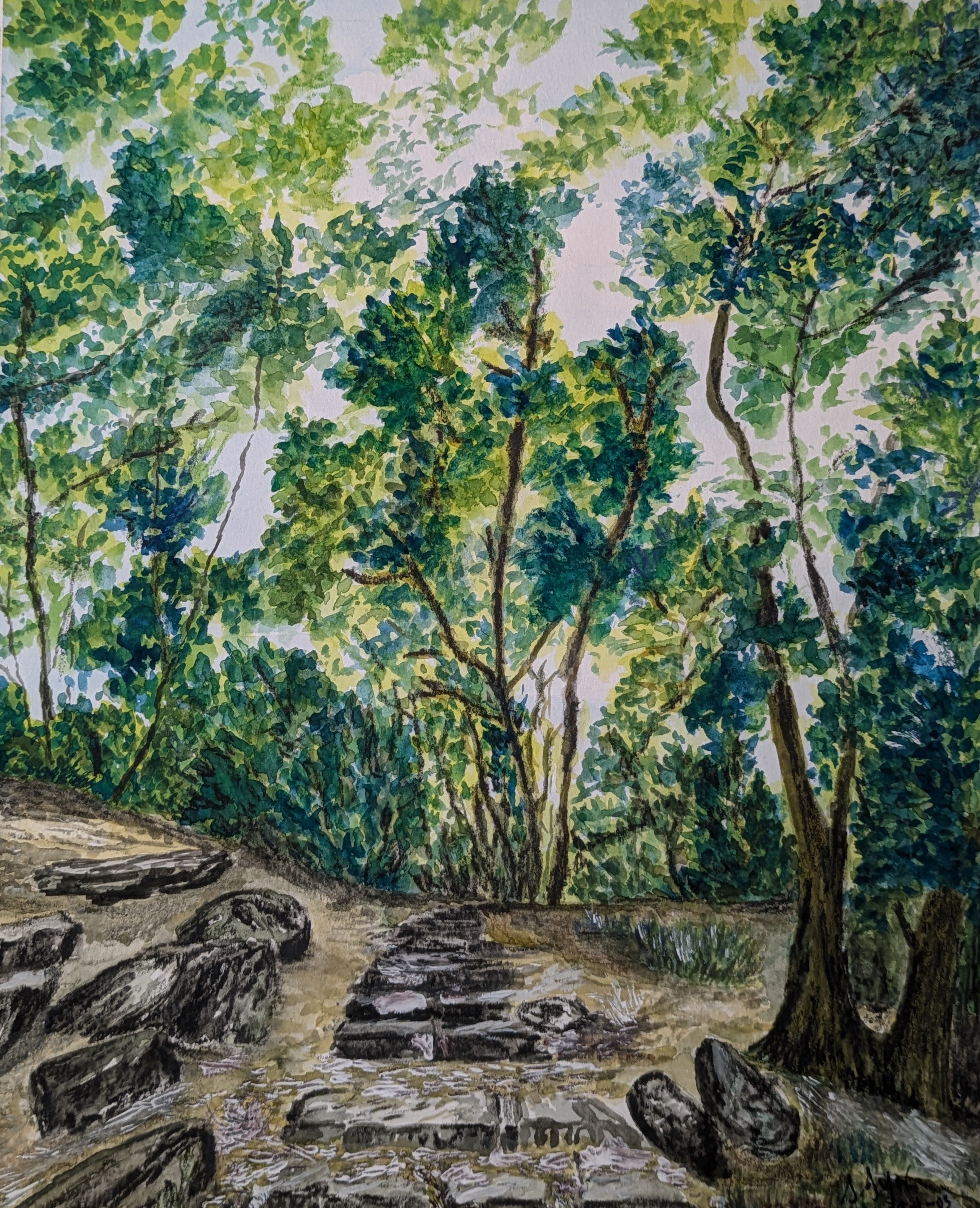 Serene Forest Path