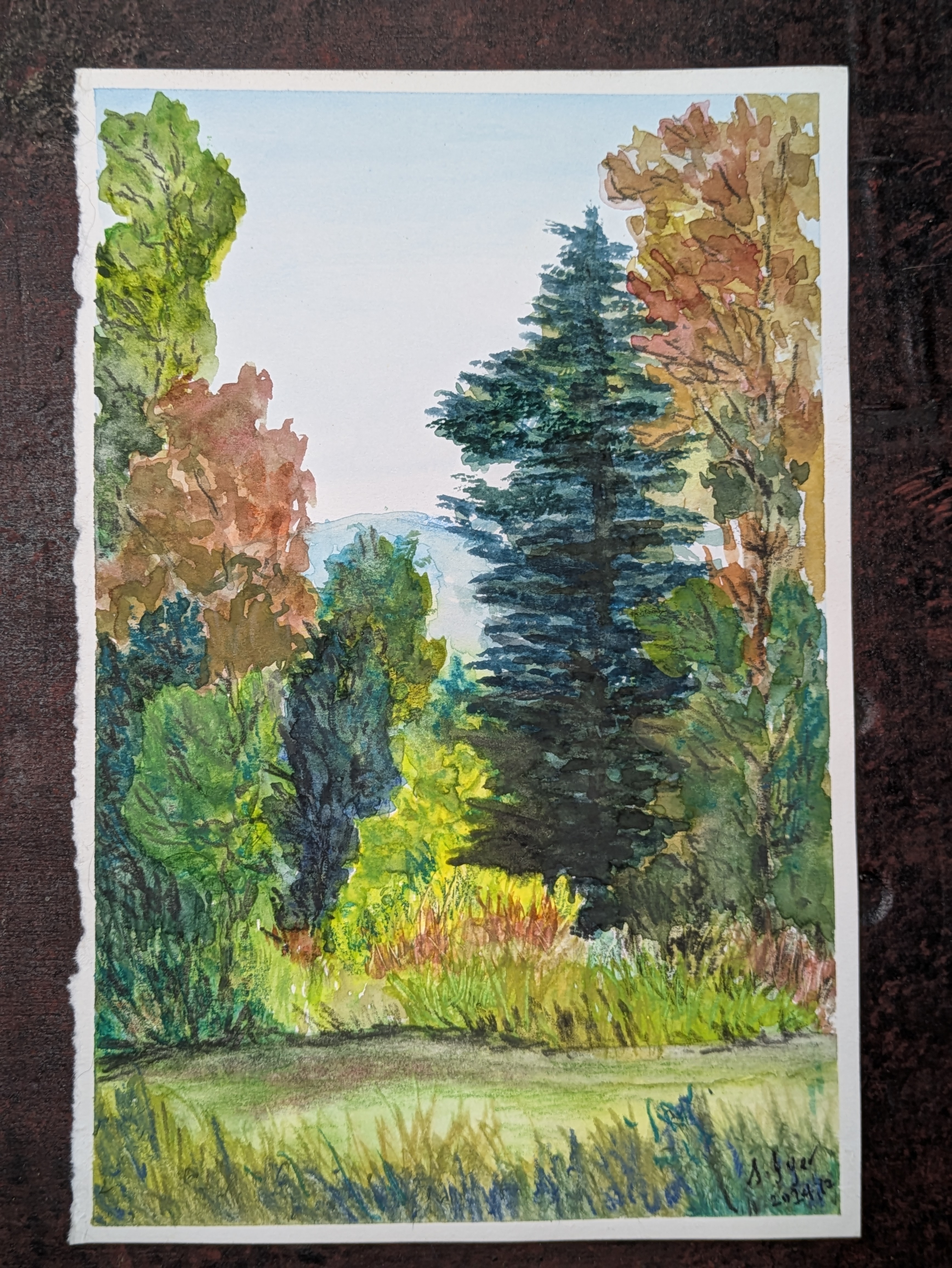 Autumn's Embrace