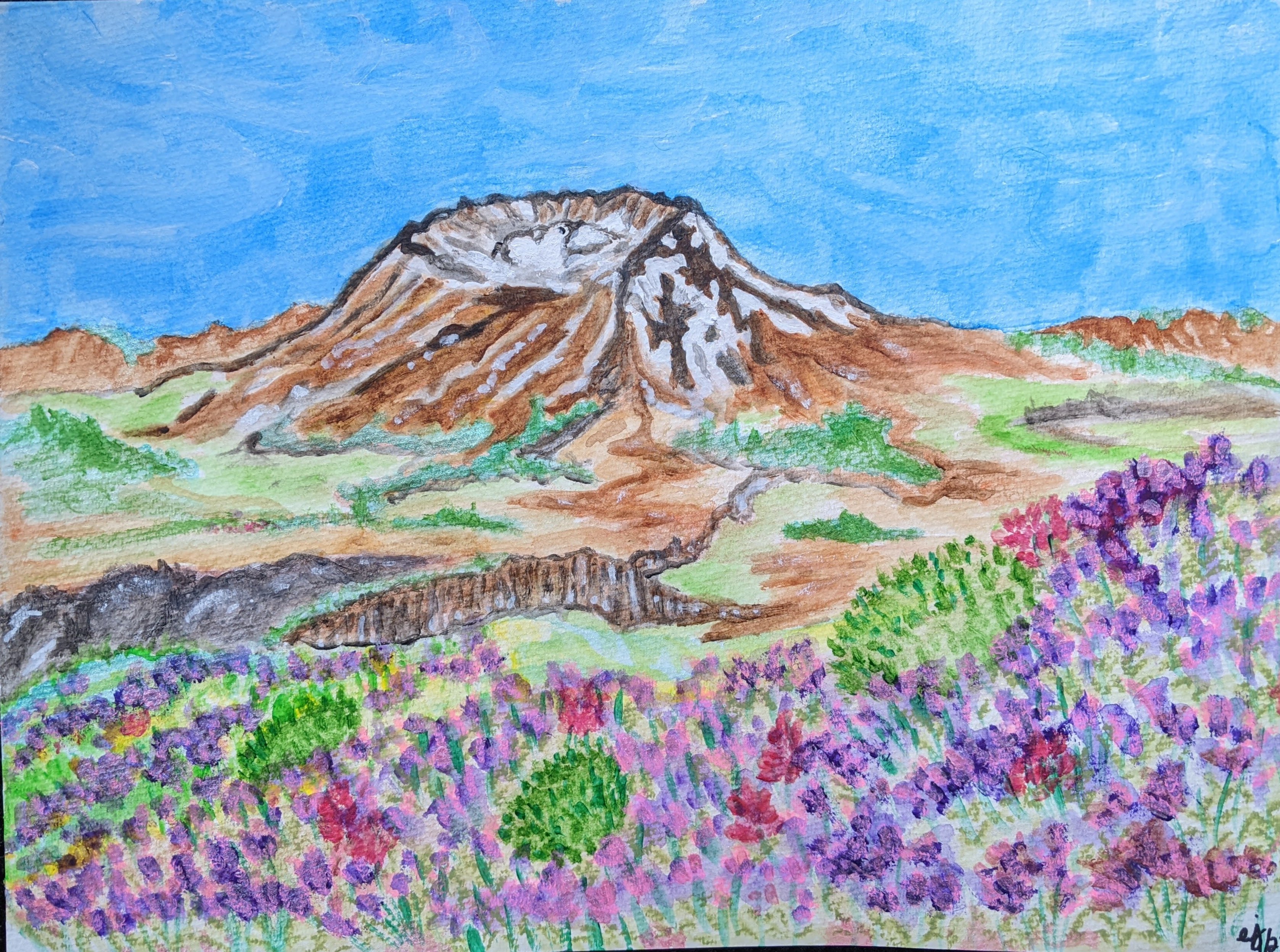 Loowit and Lupines
